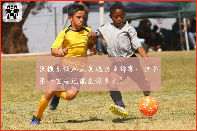 樊振东伤病反复退出亚锦赛,世界第一宝座还能坐稳多久?