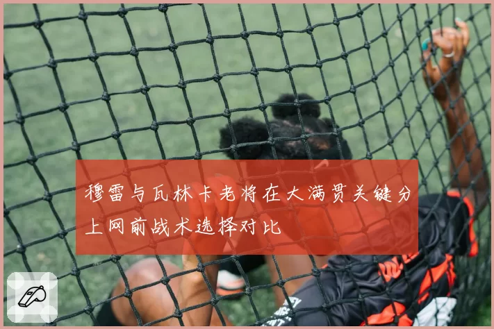 穆雷与瓦林卡老将在大满贯关键分上网前战术选择对比