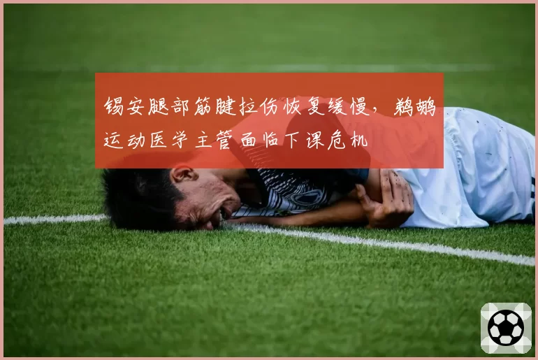 锡安腿部筋腱拉伤恢复缓慢,鹈鹕运动医学主管面临下课危机