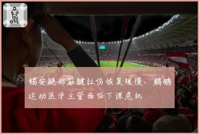 锡安腿部筋腱拉伤恢复缓慢,鹈鹕运动医学主管面临下课危机